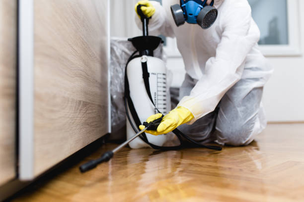 Best Pest Control Treatment  in Fifth Street, TX