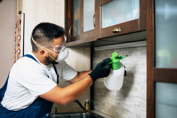 Best Cockroach Control Services  in Fifth Street, TX