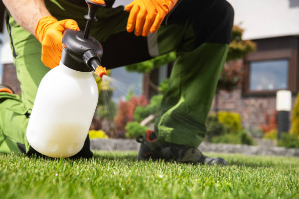 Best Emergency Pest Control  in Fifth Street, TX