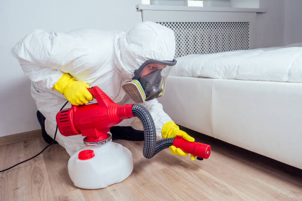 Best Flea Control Services  in Fifth Street, TX
