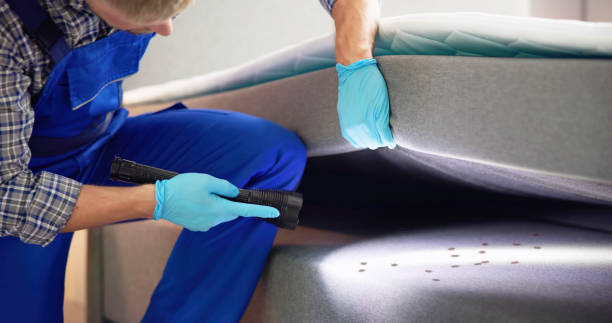 Best Pest Control Near Me  in Fifth Street, TX