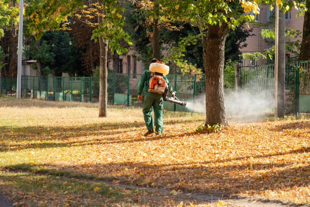 Best Pest Removal Services  in Fifth Street, TX