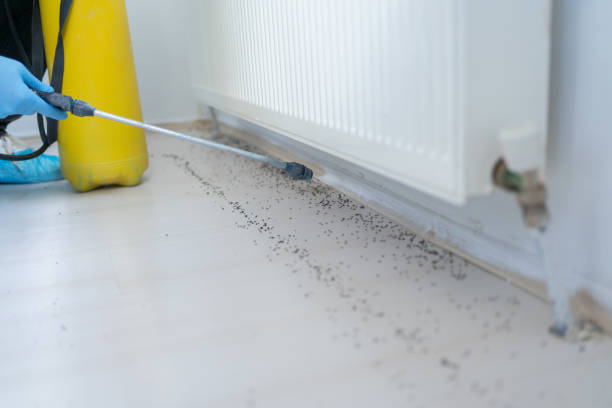 Best Pest Inspection Near Me  in Fifth Street, TX